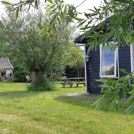 Chalet Egmond إغموند آن دن هوف المظهر الخارجي الصورة
