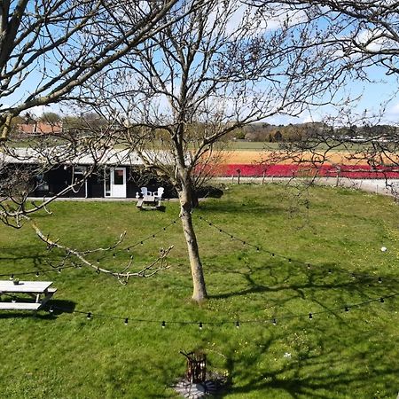 Chalet Egmond إغموند آن دن هوف المظهر الخارجي الصورة