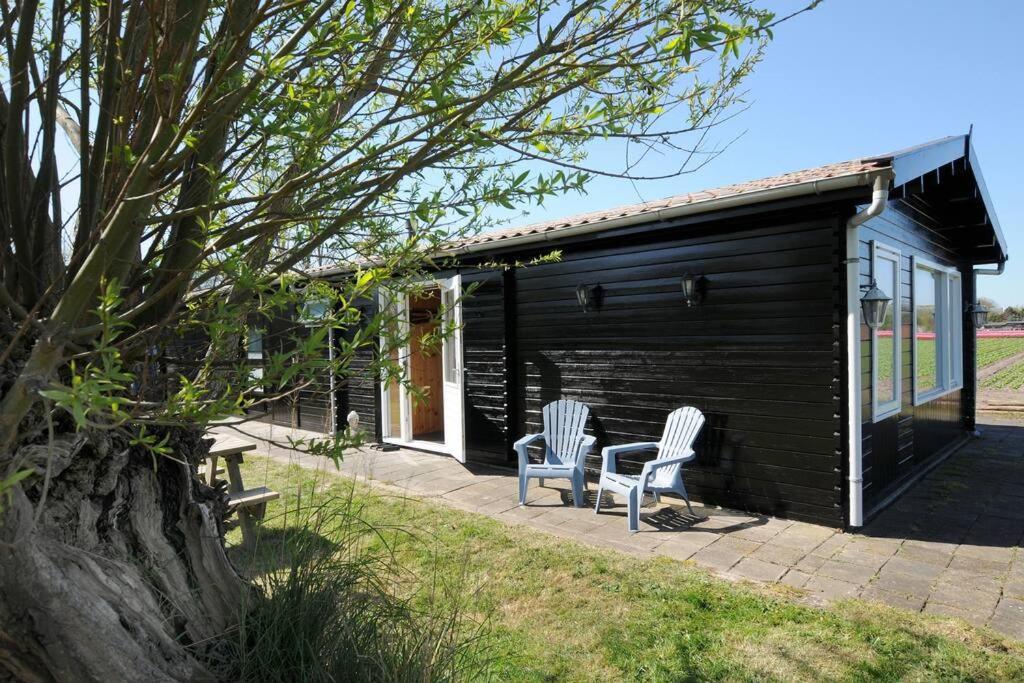 Chalet Egmond إغموند آن دن هوف المظهر الخارجي الصورة